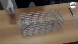 Крысоловка клетка металлическая