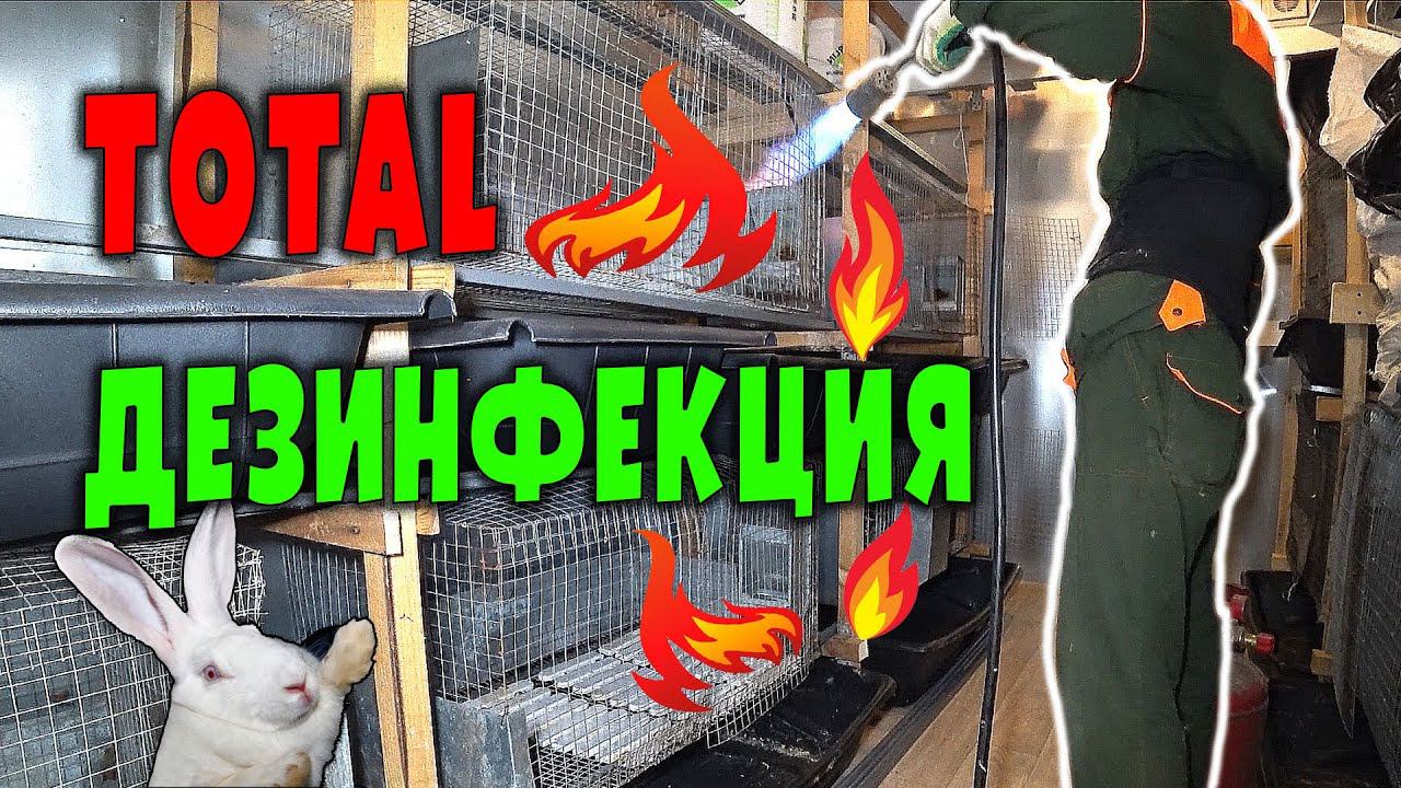 Тотальная дезинфекция хозяйства