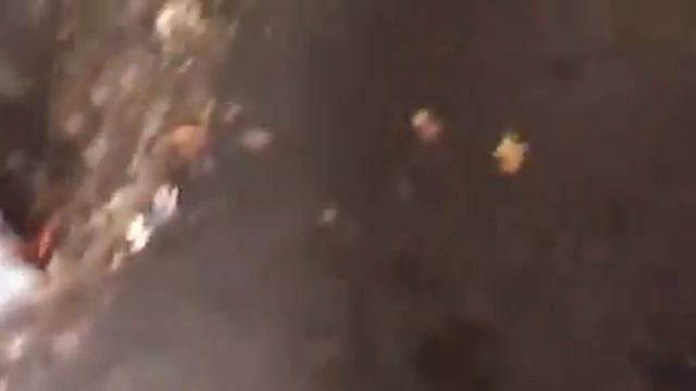 Mercedes-Benz W203 бу запчасти смотреть онлайн