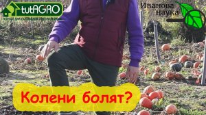 БОЛЯТ КОЛЕНИ? Вот что надо сделать в первую очередь.