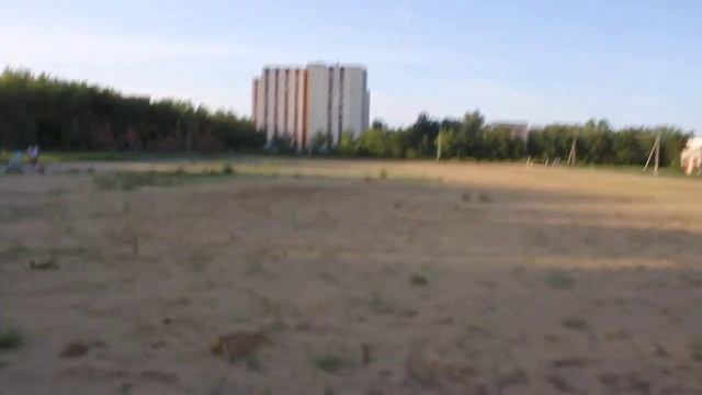 СХИ, беговая дорожка смотреть онлайн