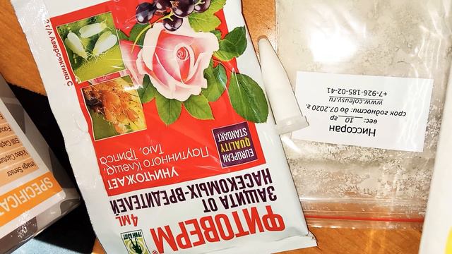 Обработка комнатных растений, фиалок смотреть онлайн