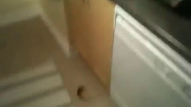 Ужасный тостер смотреть онлайн