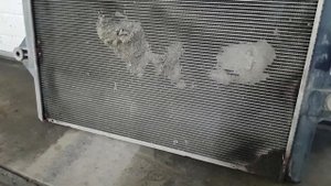 Land Cruiser Prado 120. Радиатор охлаждения двигателя Denso. Замена. Заметки.