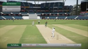 Tutorial Fun (Don Bradman Cricket 17)