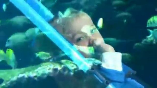 Carrinho bengala MILA bebe confort смотреть онлайн