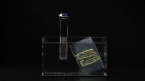 Погружной су вид Steba