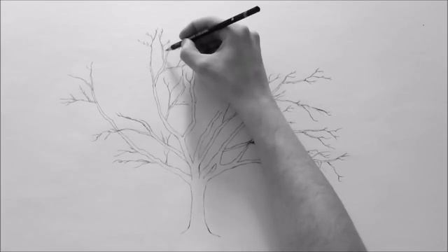 Как Нарысоватъ Дерево Карандашом смотреть онлайн