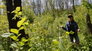 череп в лесу