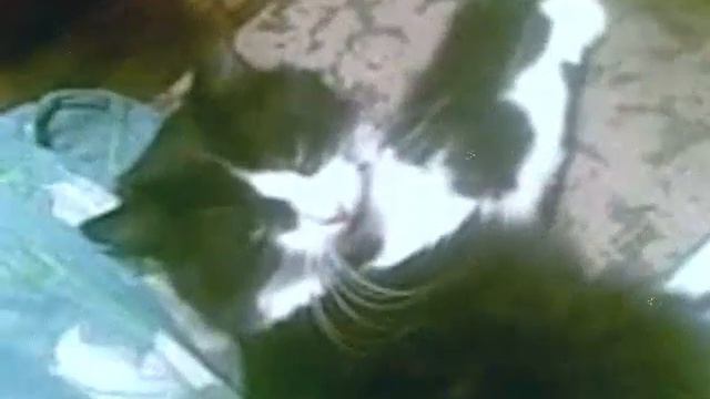 МЧС РОССИИ в дерьмо) смотреть онлайн