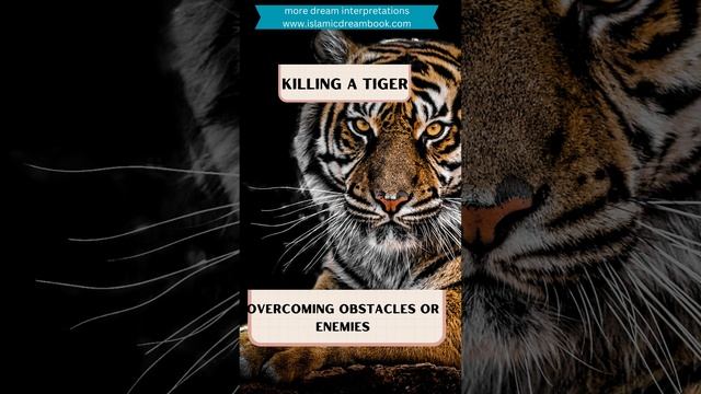 7 Tiger in dream meanings in Islam #islamicdreambook