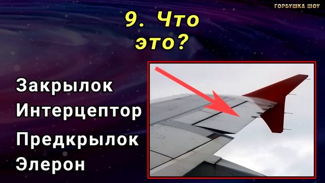 ВЫ САМЫЙ УМНЫЙ? Невероятный тест на ЭРУДИЦИЮ и кругозор! #насколькостарвашмозг #тестнаэрудицию