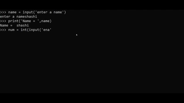 How to take user input in python?