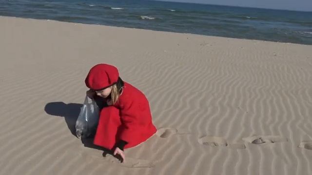 Собираем ракушки. смотреть онлайн