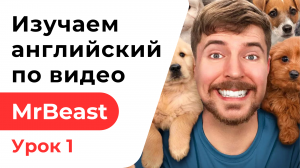 Урок 1. Изучаем английский по видео MrBeast. I Rescued 100 Abandoned Dogs.Я спас 100 бездомных собак