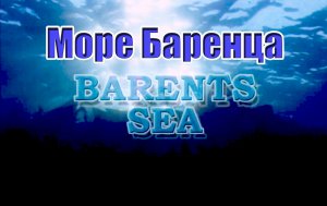 Море Баренца. Видовой фильм с подводными съемками.