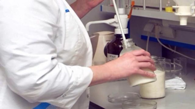 ПРАВИЛЬНЫЙ Продукт: Польза ТВОРОГА для спортсменов