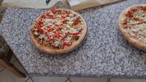 всхожесть семян тыквы