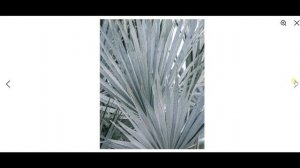 Композиция. Контраст и нюанс. Закон 1/5. Часть 2 с живыми примерами.