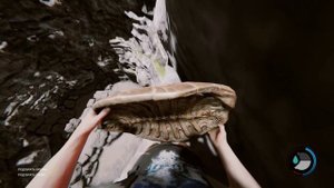 The forest - прыжки в кратер.