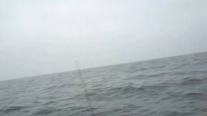 Треска. Джигом по треске или один день на рыбалке в Балтийском море