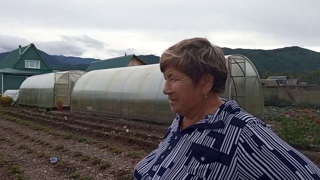 Посадка картофеля с дëгтем ? смотреть онлайн