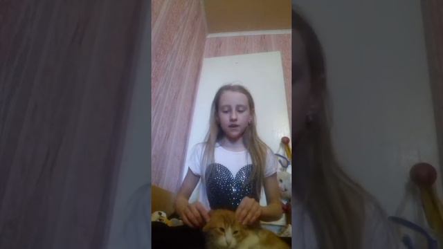 Объявление отдам или котика или кошку смотреть онлайн