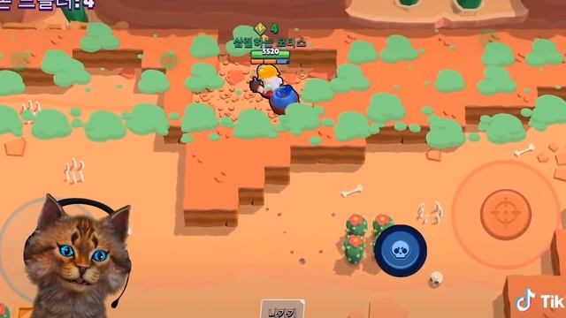 ТОП 30 ТИК ТОК в БРАВЛ СТАРС смотреть онлайн