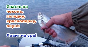 Сделал снасть на чехонь(и не только на неё) и наловил чехони и красноперки...