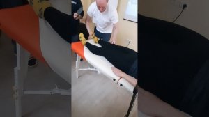 Кинезио ММТ передняя большеберцовая