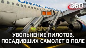 Спасибо, но прощайте: пилотов, посадивших самолёт в поле, попросили уволиться