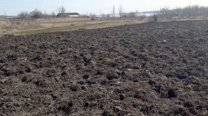 культивируем мотоблоком нева