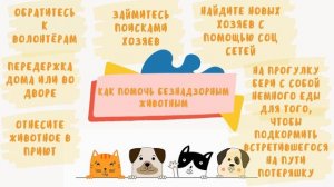Видеопрезентация "4 октября всемирный день защиты животных"