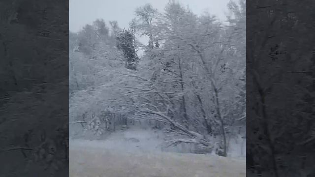 По Тверской области в сторону Калязина с ветерком и по битой дороге (05.01.21) смотреть онлайн