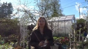 ЗАЩИЩАЕМ ОТ ПЛОДОЖОРКИ ЯБЛОНЮ ГРУШУ СЛИВУ БЫСТРО И ПРОСТО | САД ДЛЯ ДУШИ 2022