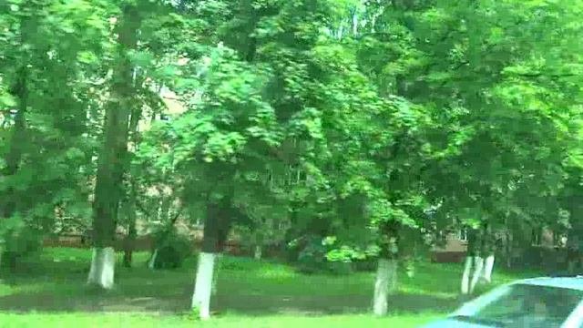 Железнодорожный, автобус 65, участок Станция Железнодорожная - Школа-сад