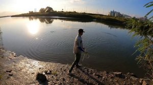 Рыбалка на кастинговую сеть. Морские рыбки на кастинговую сеть