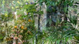 Искусственные цветы в горшках купить декоративные для интерьера квартиры ландшафта сада дачи дома