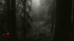 Телефонная будка, Страшные истории.mp4