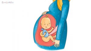 Откуда берутся дети? Путешествие по вашему телу. Развивающий мультик для детей.