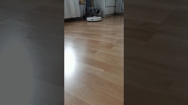 Робот пылесос Xiaomi mi vacuum и фильтры к нему, своими руками ЗА 3 МИНУТЫ. Результат уборки смотреть онлайн
