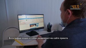В Челябинской области появился первый государственный приют для животных