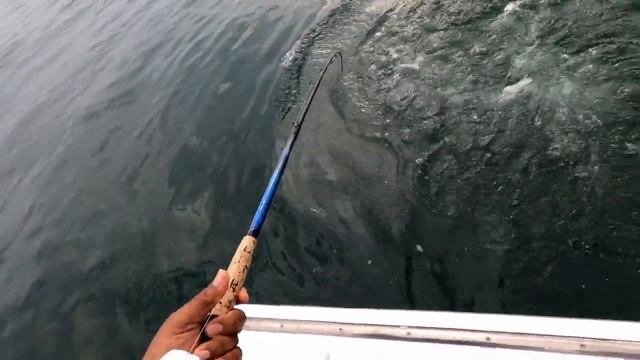 Huge Nantucket Shoals Fluke on The Emma Jack смотреть онлайн