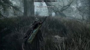 Как вылечиться от вампиризма в Скайриме