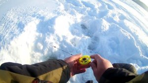 ЗИМНЯЯ РЫБАЛКА. ПОИСК КРУПНОГО ОКУНЯ в корягах | Жареный бугор, Коротни, Марий Эл