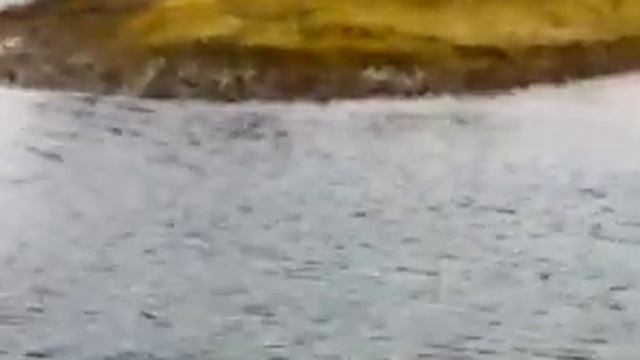 subaru-forester по уши в воде смотреть онлайн