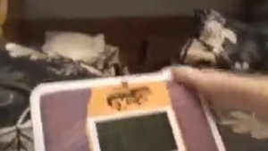 Обзор на игрушечный ноутбук