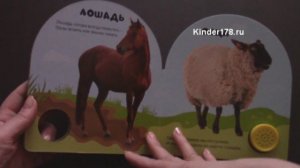 Музыкальная книга "Ферма" Учись и веселись. Азбукварик. Видео-обзор