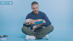 Собачьи посиделки с Томом Харди