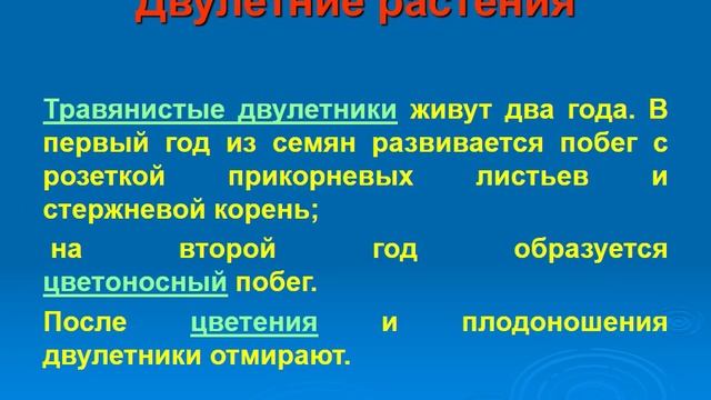 Проект на тему: "Травянистые растения"". Автор: Романов Андрей смотреть онлайн